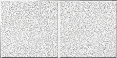 Armstrong World - 48" Long x 24" Wide, Wet-Formed Mineral Fiber Acoustic Ceiling Tile - ASTM E1264 Specification, White - USA Tool & Supply