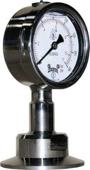 Winters - 2-1/2" Dial, 2 Thread, 0-160 Scale Range, Pressure Gauge - Lower Connection Mount, Accurate to 1.5% of Scale - USA Tool & Supply