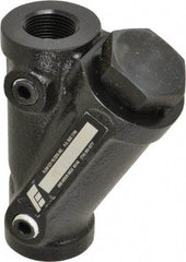 Flow Ezy Filters - 3/4 NPT Thread, 238 Micron, 3.6" Outside Diam, 4.8" Long, Stainless Steel Wire Cloth Media, Filter Assembly - Epoxy Coated Cast Iron - USA Tool & Supply