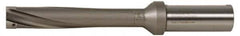 Kennametal - Series KSEM Plus, Head Connection FDS36, 5xD, 38.1mm Shank Diam, Drill Body - SSF Toolholder, 339.25mm OAL, 9.61" Drill Body Length, 6.89" Flute Length, Whistle Notch Shank, Through Coolant - USA Tool & Supply