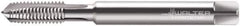 Walter-Prototyp - #6-32 UNC, 3 Flute, Bright Finish, Powdered Metal Spiral Point Tap - Plug Chamfer, Right Hand Thread, 56mm OAL, 12mm Thread Length, 4mm Shank Diam, 2B Class of Fit, Series 22217 - Exact Industrial Supply