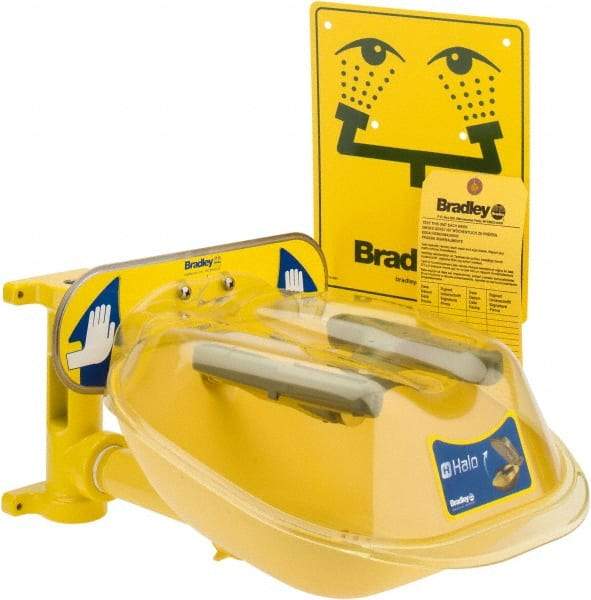 Bradley - Wall Mount, Plastic Bowl, Eye & Face Wash Station - USA Tool & Supply