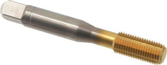 Balax - 3/8-24 UNF 2B H8 Thread Limit Bottoming Thread Forming Tap - Powdered Metal High Speed Steel, TiN Finish, 2-15/16" OAL, 0.95" Thread Length, Right Hand Thread, Series BXSTAINLESS - USA Tool & Supply