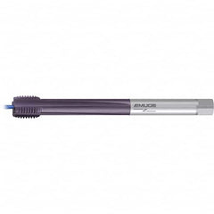 Emuge - Extension Taps Thread Size: M33x3.50 Overall Length (mm): 290.00 - USA Tool & Supply