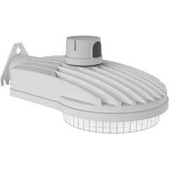 Hubbell Lighting - Parking Lot & Roadway Lights Fixture Type: Roadway Light Lamp Type: LED - USA Tool & Supply