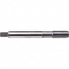 Emuge - Thread Forming STI Taps Thread Size (Inch): 1/4-28 Class of Fit: 2B - USA Tool & Supply
