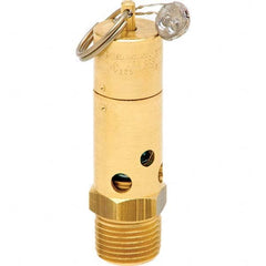 Control Devices - 1/2" Inlet, ASME Safety Valve - USA Tool & Supply
