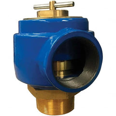 Control Devices - 2-1/2" Inlet, 2-1/2" Outlet, Noncode Safety Relief Valve - USA Tool & Supply