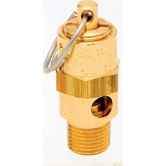 Control Devices - 1/8" Inlet, ASME Safety Valve - USA Tool & Supply