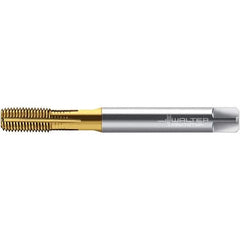 Walter-Prototyp - M10x1.50 DIN 2174 6HX 9.380 Thread Limit Semi-Bottoming Thread Forming Tap - Powdered Metal High Speed Steel, TiN Finish, 100mm OAL, 15mm Thread Length, Right Hand Thread, Series TC430 - USA Tool & Supply