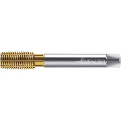 Walter-Prototyp - M14x1.25 DIN 2174 6HX 13.490 Thread Limit Semi-Bottoming Thread Forming Tap - Powdered Metal High Speed Steel, TiN Finish, 100mm OAL, 15mm Thread Length, Right Hand Thread, Series TC420 - USA Tool & Supply