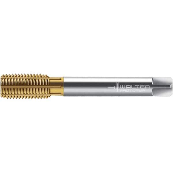 Walter-Prototyp - M14x1.00 DIN 2174 6HX 13.600 Thread Limit Semi-Bottoming Thread Forming Tap - Powdered Metal High Speed Steel, TiN Finish, 100mm OAL, 15mm Thread Length, Right Hand Thread, Series TC420 - USA Tool & Supply