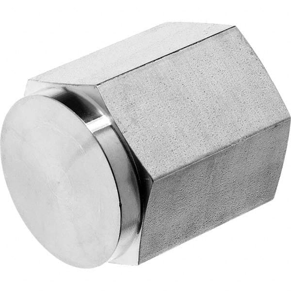USA Sealing - 1/4" 316 Stainless Steel Pipe Hex Cap - USA Tool & Supply