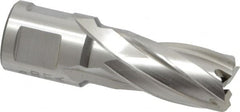 Hougen - 5/8" Diam x 1" Deep High Speed Steel Annular Cutter - USA Tool & Supply