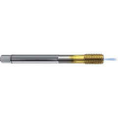 Guhring - 1/4-28 UNF 2BX H6/H7 Thread Limit Bottoming Thread Forming Tap - High Speed Steel, TiCN Finish, 3.15" OAL, Right Hand Thread, Series 4382 - USA Tool & Supply