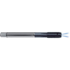 Guhring - #10-24 UNC 2BX H6/H7 Thread Limit Modified Bottoming Thread Forming Tap - High Speed Steel, TiCN Finish, 2.756" OAL, Right Hand Thread, Series 4379 - USA Tool & Supply