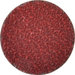 Norton - 2" Disc Diam, 36 Grit, Ceramic Alumina Quick Change Disc - Type R Attaching System, Coated, Red, Very Coarse Grade, 25,000 RPM, R983 Series - USA Tool & Supply