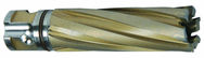 32MM X 50MM CARBIDE CUTTER - USA Tool & Supply