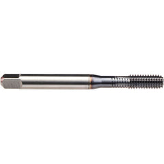 ‎STI 10-32-TAP-DRCK RLFORM - Exact Industrial Supply