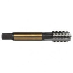 M10X1.5 3FL 6H CO SPPT PL TAP - USA Tool & Supply