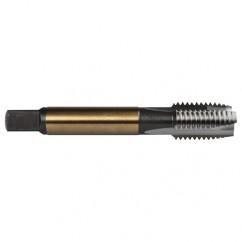 M12X1.75 2FL 6H CO SPPT PL TAP - USA Tool & Supply