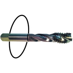 ‎8-32 Dia-H3-2 FL-Std Spiral Point Tap - Black Ring - USA Tool & Supply