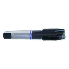 ‎5/16-24 Dia-H3-3 FL-Std Spiral Point Tap-Blue Ring - USA Tool & Supply