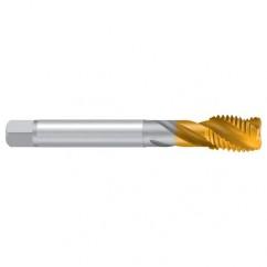 M22-ISO2/6H 2ENORM TiN Sprial Flute Tap - USA Tool & Supply