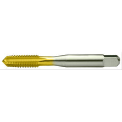 ‎TN3105 5-44 PLUG HS GH2 3FL STR FL