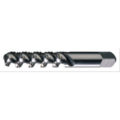 M12X1.75 3FL D11 SPFL_SEM