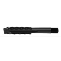 M10X1.25 3FL D11 SPPT PLG