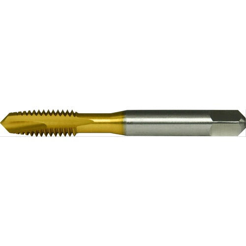 ‎TN3112 3-48 SP PT PLUG GH2 2FL