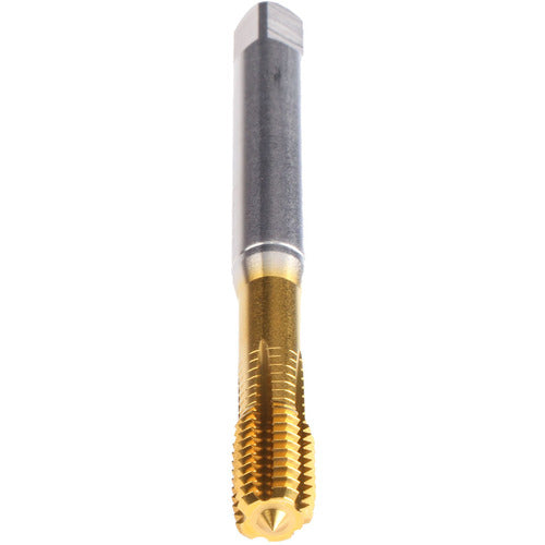 ‎#10-32-TAP-FORM Z-PM-TIN