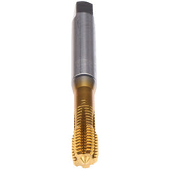 ‎5/8-11-FORM STL-M-PM-TIN