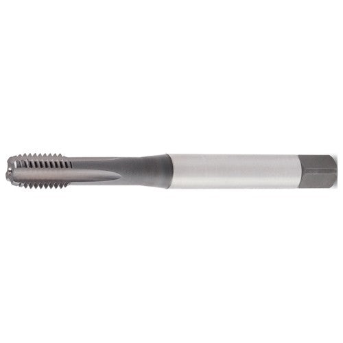 GT415003 M6X1 6HX STFL SBOTT 371 - Exact Industrial Supply