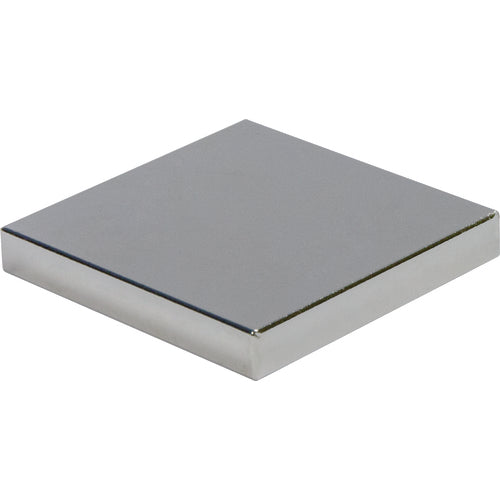 .12 × 1 × 1 Rectangular Rare Earth Magnet - USA Tool & Supply
