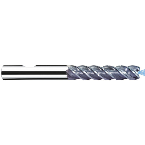 P8121391 MFC (MB-NVDS) 8M - Exact Industrial Supply