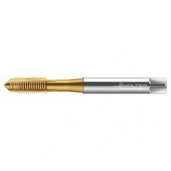 TC216-M10X1.5 6H WY80AA HS SPPT TAP - USA Tool & Supply