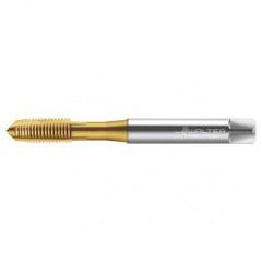 TC216-M8X1.25 6H WY80AA HS SPPT TAP - USA Tool & Supply