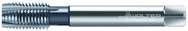 2026616-M12X1.75 6HX 4FL HS SPPT TAP - USA Tool & Supply