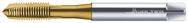 P2033005-M6 PROTOTEX XPERT P - USA Tool & Supply