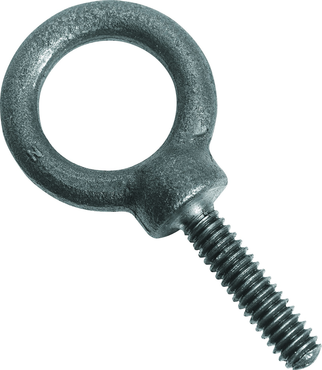 Protoå Forged Eye Bolt - 2.50" - USA Tool & Supply