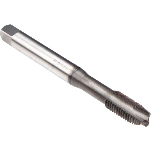 ‎1/4-28 2B SPPT PL TAP - Exact Industrial Supply