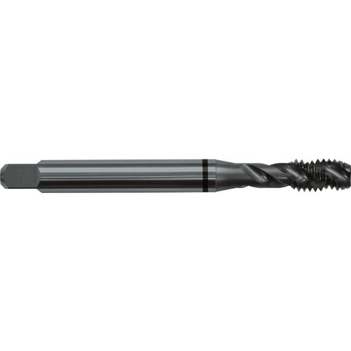 ‎1/4-20 H5 3 Flute Spiral Flute Semi-Bottoming Black Ring Tap-Steam Oxide - USA Tool & Supply