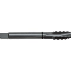 ‎10-24 H3 3 Flute Spiral Pointed Plug Black Ring Tap-Steam Oxide - USA Tool & Supply
