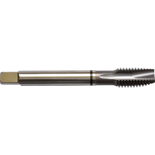 ‎6-32 H3 3 Flute Spiral Pointed Plug Black Ring Tap-TICN - USA Tool & Supply