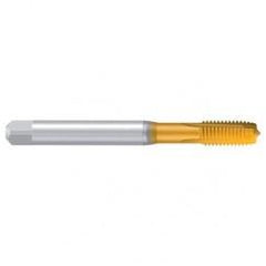 M4–6H REK.A-H/E TiN Straight Flute Tap - USA Tool & Supply