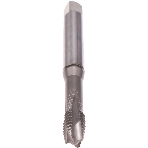 ‎M10-TAP-REK B-Z-PM-GLT-1 - Exact Industrial Supply