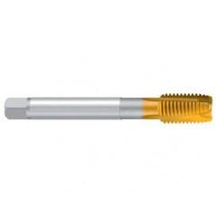 M14–6H REK.A-H/E TiN Straight Flute Tap - USA Tool & Supply