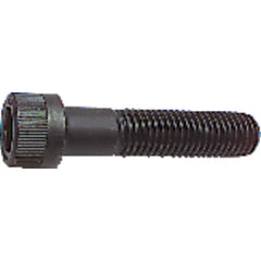 M6-1.00 × 12 mm - Black Finish Heat Treated Alloy Steel - Cap Screws - Socket Head - USA Tool & Supply